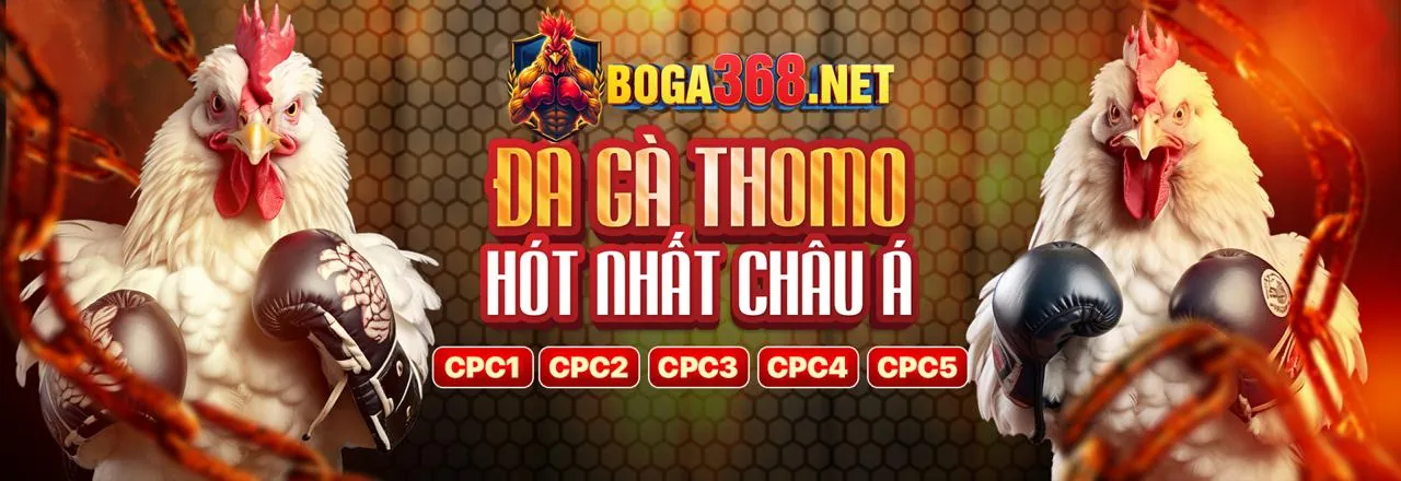 Đá gà trực tuyến kịch tính tại HK79 chính thức